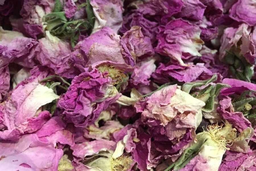 心を落ち着けたい夜に。ハーブティーから広がる遠い国の記憶